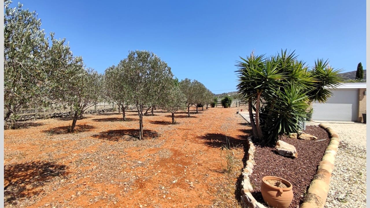 3 soverom Finca/Herregård til salgs i Jalon / Xalo med garasje - € 599 000 (Ref: 8479575)