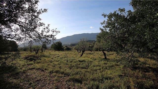 Terrain à Bâtir à vendre à Murla - 150 000 € (Ref: 9479414)