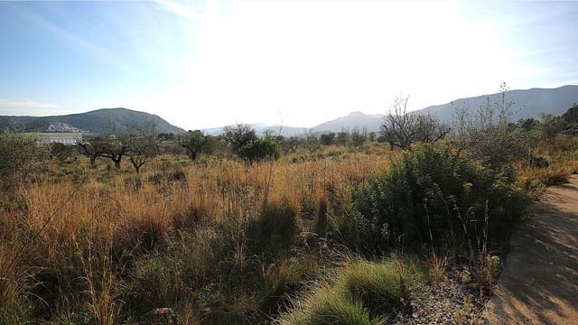 Byggetomt til salgs i Murla - € 120 000 (Ref: 9479415)