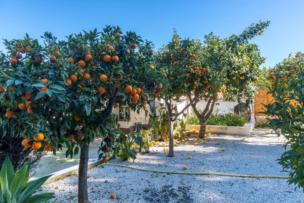 3 makuuhuone Maalaistalo myytävänä paikassa Jesus Pobre mukana uima-altaan - 749 000 € (Ref: 9539064)