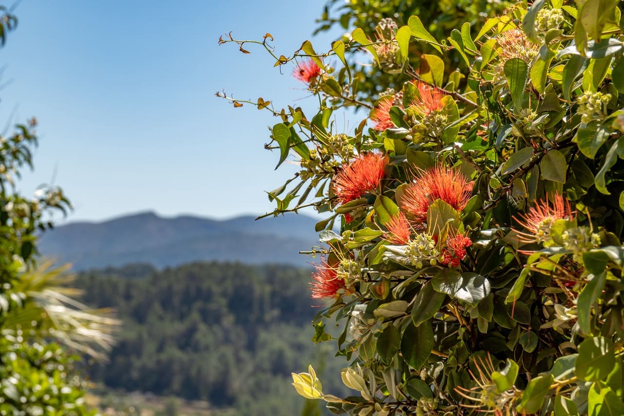 4 soverom Villa til salgs i Benigembla / Benichembla med svømmebasseng garasje - € 469 000 (Ref: 9787736)