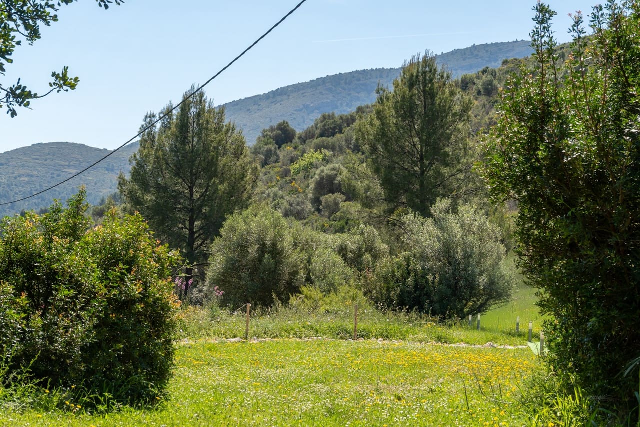 4 soverom Finca/Herregård til salgs i Benigembla / Benichembla med svømmebasseng garasje - € 625 000 (Ref: 9787737)