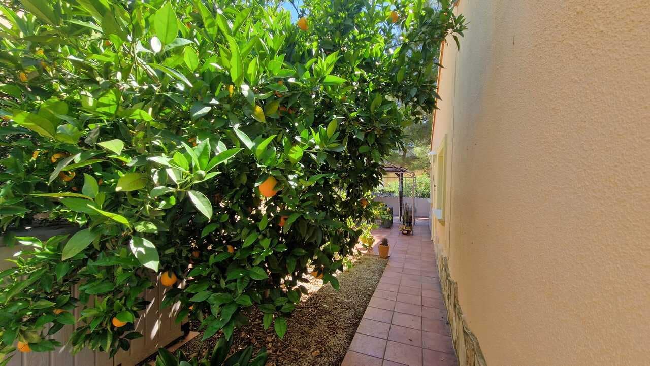3 bedroom Villa for sale in Alcalali / Alcanali with pool - € 349,000 (Ref: 9898408)