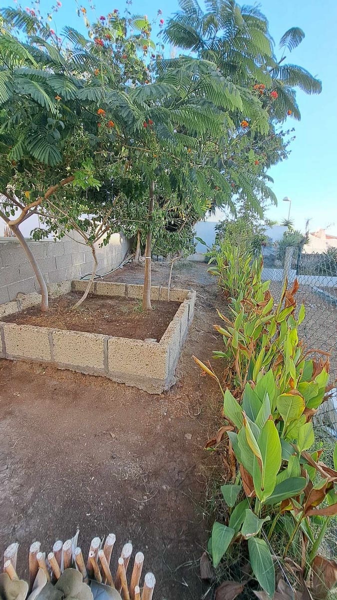 2 soveværelse Lejlighed til salg i Callao Salvaje - € 288.000 (Ref: 8807311)