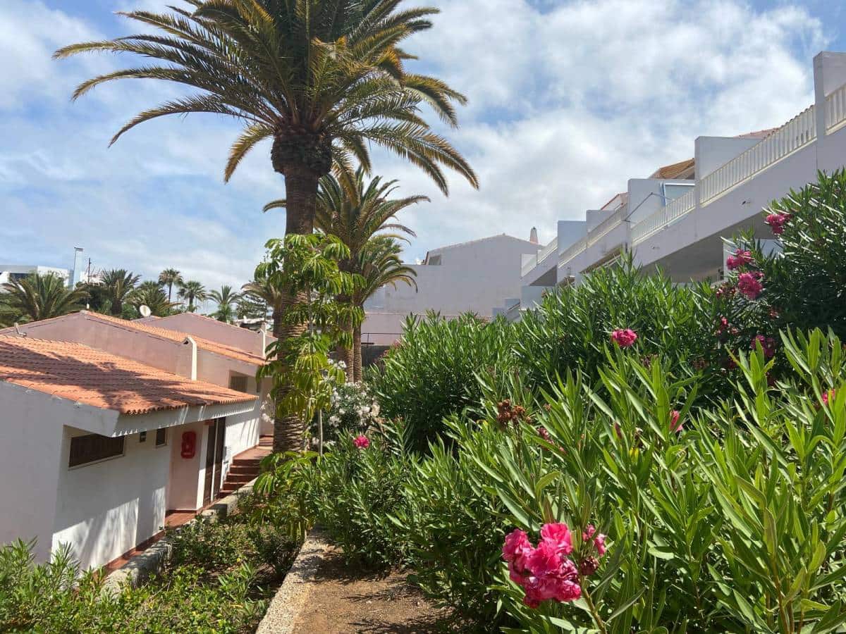 1 soveværelse Lejlighed til salg i Costa Adeje - € 365.000 (Ref: 9076826)