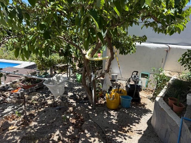 4 camera da letto Finca/Casa di Campagna in vendita in Granadilla de Abona - 595.000 € (Rif: 9187475)