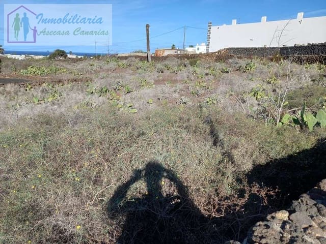 Tomt till salu i Mala, Haría - 120 000 € (Ref: 6699915)