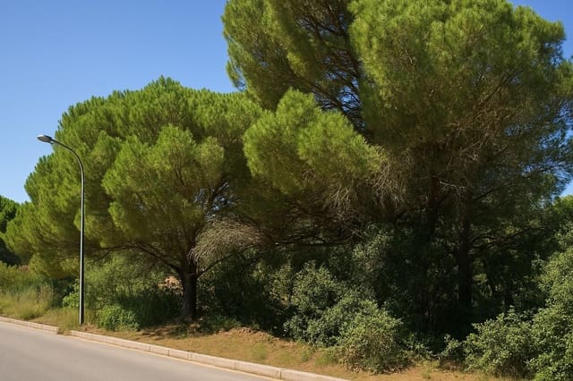 Mark till salu i Urbanitzacions del Nord, Lloret de Mar - 22 000 € (Ref: 4884385)