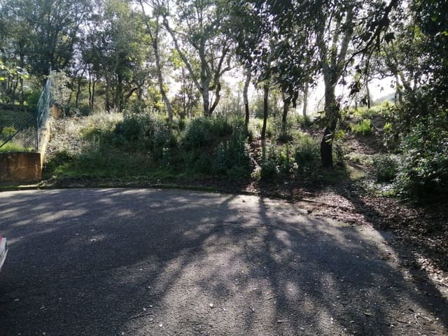 Undeveloped Land for sale in Caldes de Malavella - € 80,000 (Ref: 4903596)