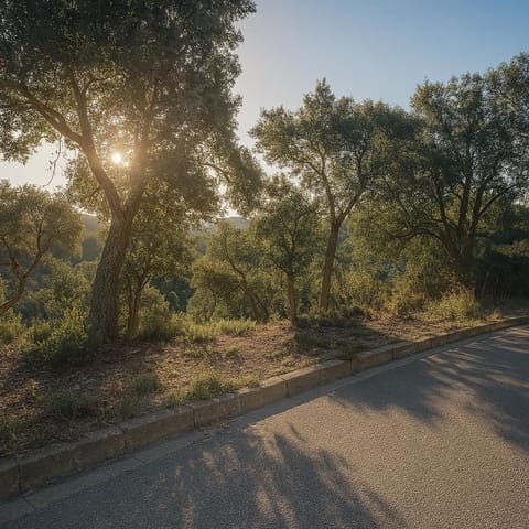 Mark till salu i Urbanitzacions del Nord, Lloret de Mar - 30 000 € (Ref: 5634023)