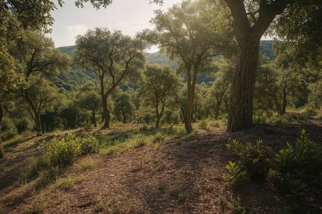 Mark till salu i Urbanitzacions del Nord, Lloret de Mar - 30 000 € (Ref: 5634023)