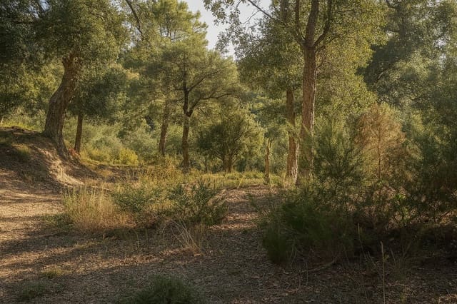 Mark till salu i Urbanitzacions del Nord, Lloret de Mar - 30 000 € (Ref: 5634023)