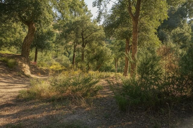 Mark till salu i Urbanitzacions del Nord, Lloret de Mar - 30 000 € (Ref: 5634023)