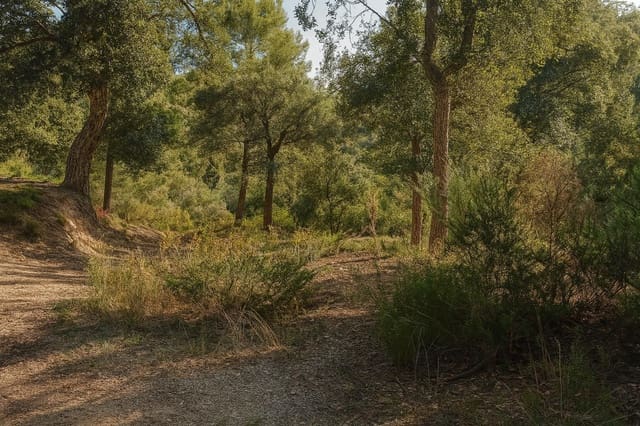 Mark till salu i Urbanitzacions del Nord, Lloret de Mar - 30 000 € (Ref: 5634023)