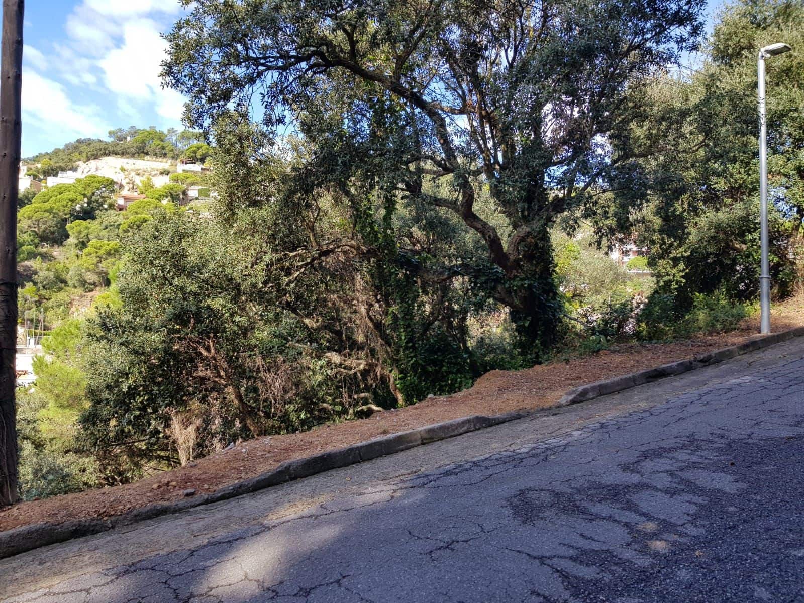 Grunde uden byggetilladelser til salg i Lloret de Mar - € 58.000 (Ref: 5644764)