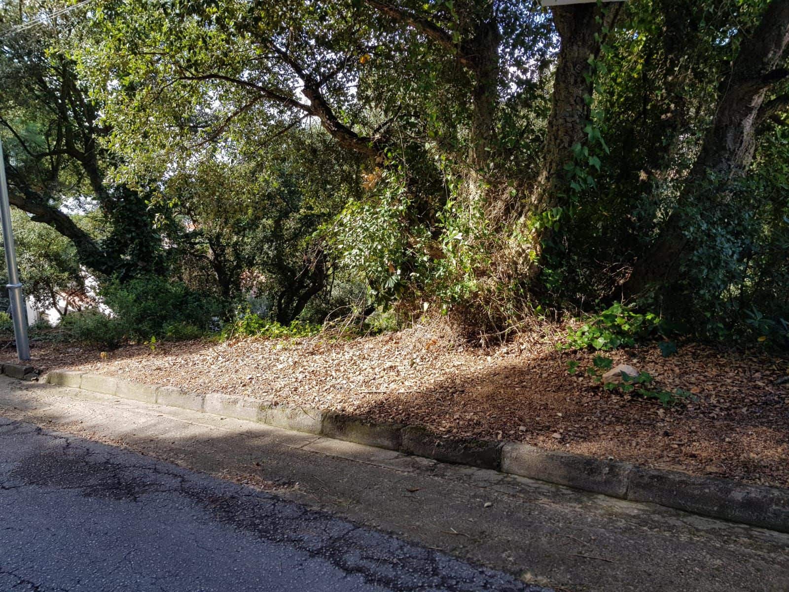 Grunde uden byggetilladelser til salg i Lloret de Mar - € 58.000 (Ref: 5644764)