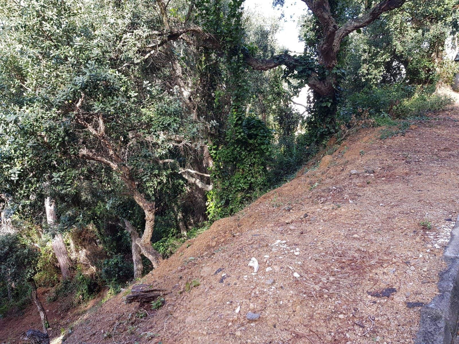 Grunde uden byggetilladelser til salg i Lloret de Mar - € 58.000 (Ref: 5644764)