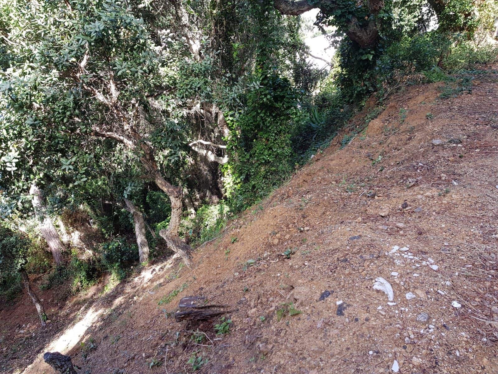 Grunde uden byggetilladelser til salg i Lloret de Mar - € 58.000 (Ref: 5644764)