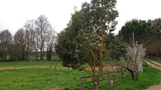 4 camera da letto Villa in vendita in Vidreres con garage - 1.030.000 € (Rif: 5951507)