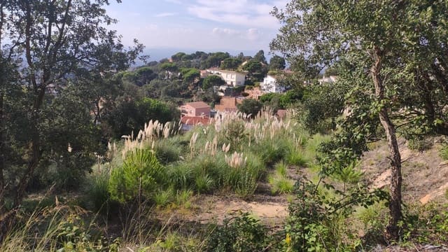 Mark till salu i Urbanitzacions del Nord, Lloret de Mar - 73 158 € (Ref: 6701774)