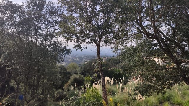 Mark till salu i Urbanitzacions del Nord, Lloret de Mar - 73 158 € (Ref: 6701774)