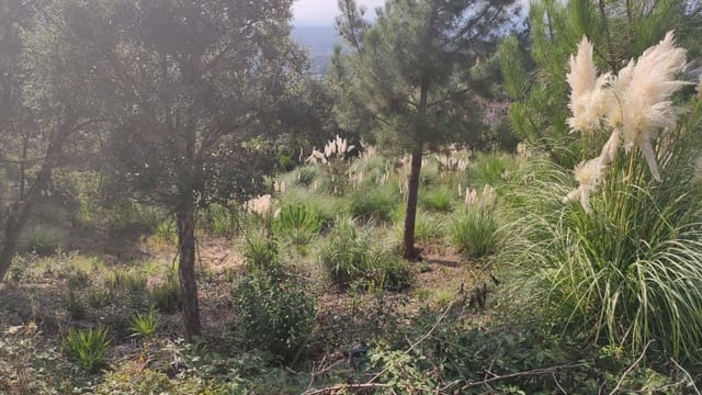 Mark till salu i Urbanitzacions del Nord, Lloret de Mar - 73 158 € (Ref: 6701774)