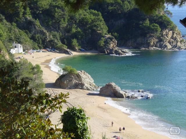 Terreno Não Urbanizado para venda em Lloret de Mar - 70 000 € (Ref: 6730552)