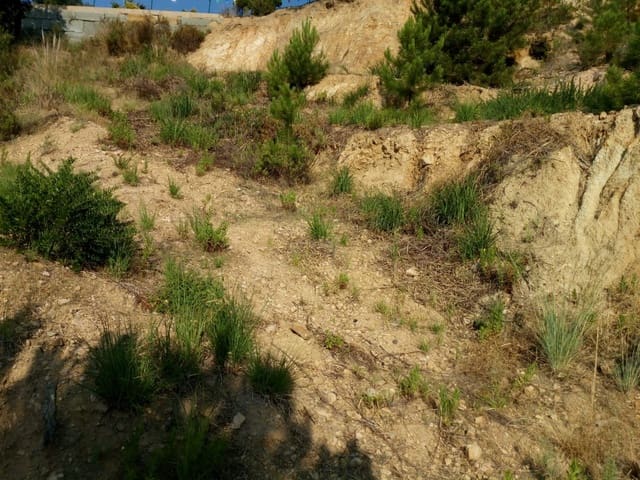 Rakentamaton maa myytävänä paikassa Serra Brava, Lloret de Mar - 70 000 € (Ref: 6730552)