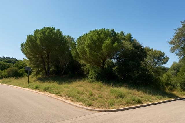 Undeveloped Land for sale in Urbanitzacions del Nord, Lloret de Mar - € 43,000 (Ref: 6730553)