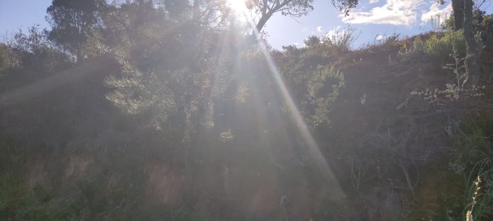 Tomt till salu i Lloret de Mar - 43 000 € (Ref: 6755308)