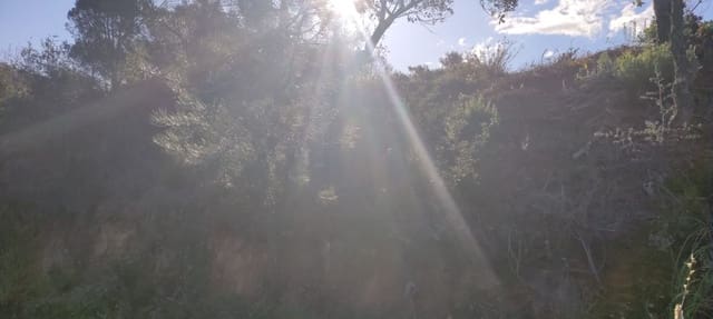 Building Plot for sale in Mas Baell - Can Carbó, Lloret de Mar - € 43,000 (Ref: 6755308)