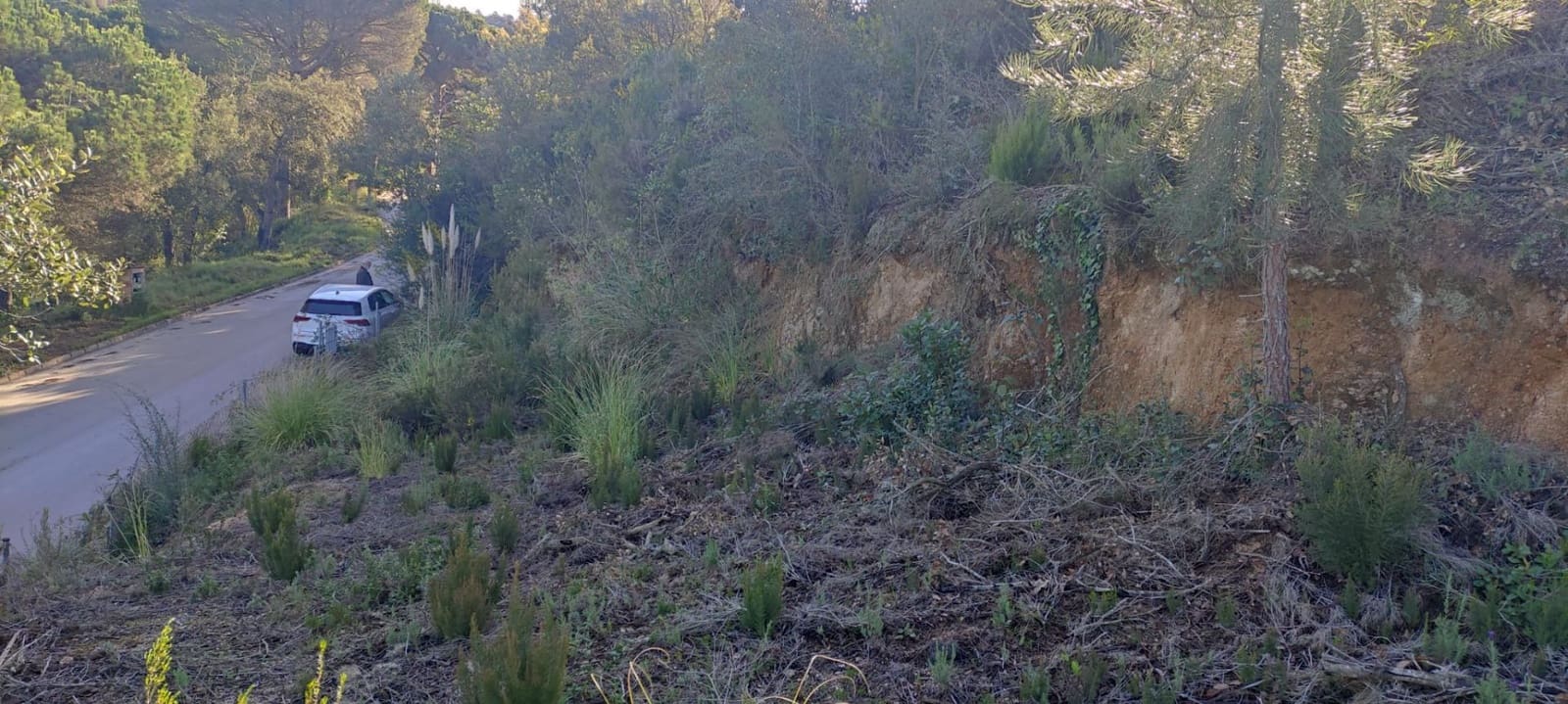 Tomt till salu i Lloret de Mar - 43 000 € (Ref: 6755308)