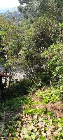 Mark till salu i Urbanitzacions del Nord, Lloret de Mar - 69 000 € (Ref: 6767988)