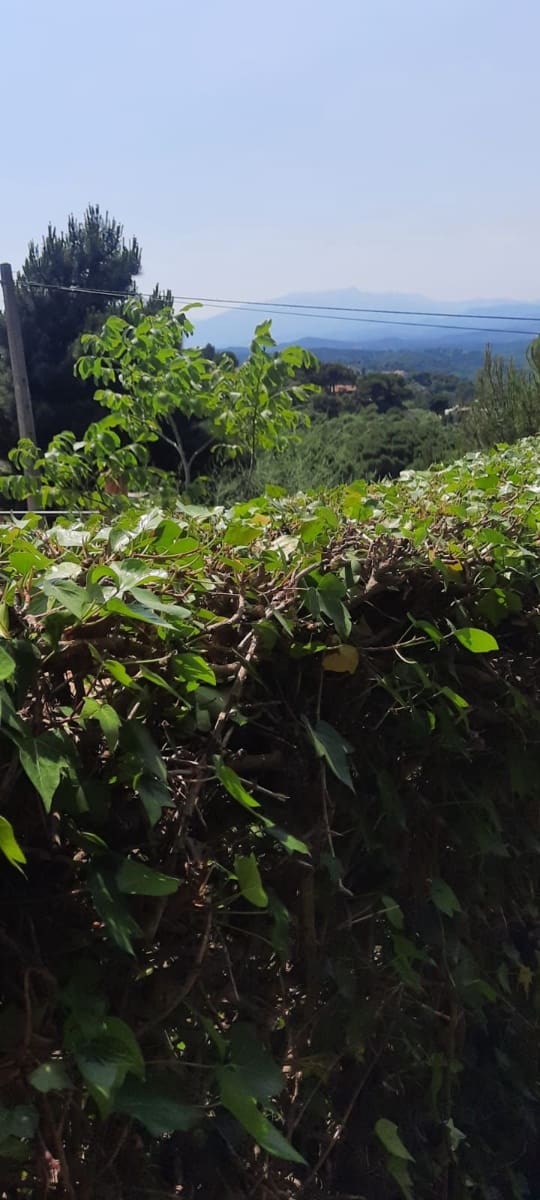 Grunde uden byggetilladelser til salg i Lloret de Mar - € 69.000 (Ref: 6767988)