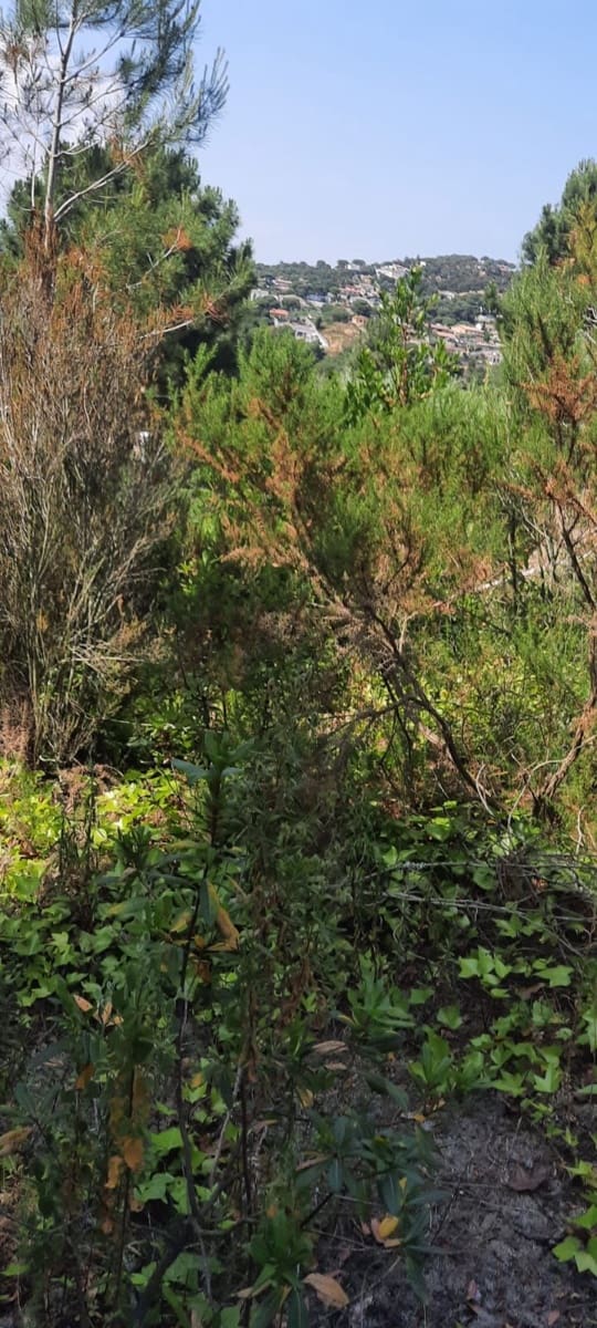 Grunde uden byggetilladelser til salg i Lloret de Mar - € 69.000 (Ref: 6767988)