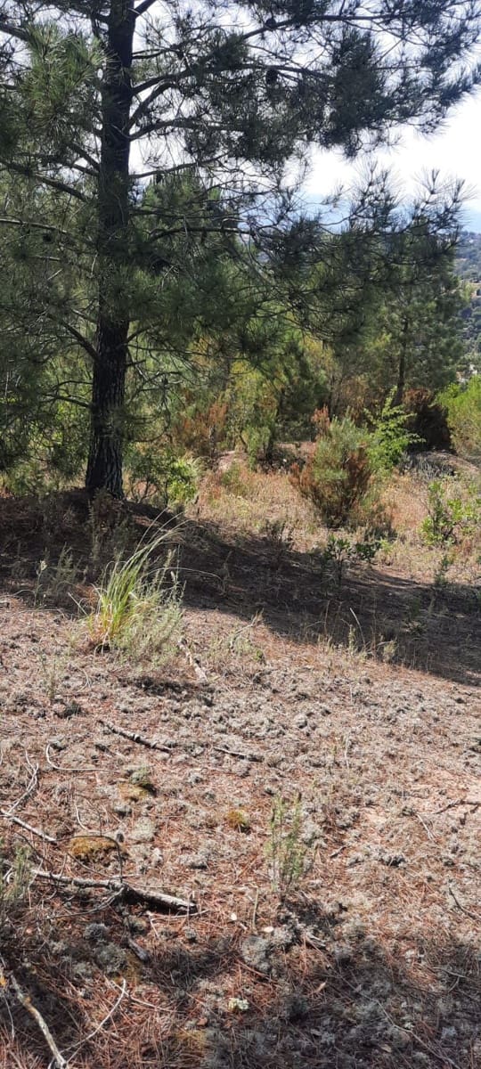 Grunde uden byggetilladelser til salg i Lloret de Mar - € 69.000 (Ref: 6767988)