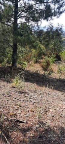 Mark till salu i Urbanitzacions del Nord, Lloret de Mar - 69 000 € (Ref: 6767988)