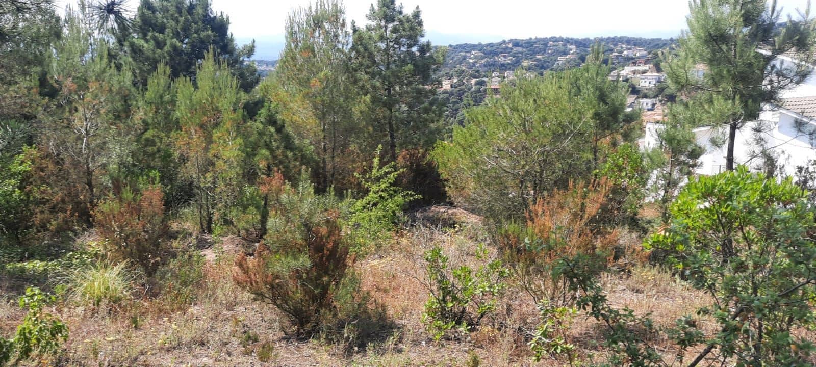 Grunde uden byggetilladelser til salg i Lloret de Mar - € 69.000 (Ref: 6767988)