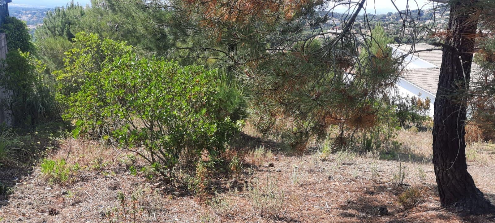 Grunde uden byggetilladelser til salg i Lloret de Mar - € 69.000 (Ref: 6767988)