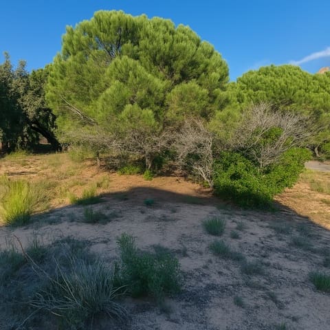 Mark till salu i Urbanitzacions del Nord, Lloret de Mar - 69 500 € (Ref: 8781076)