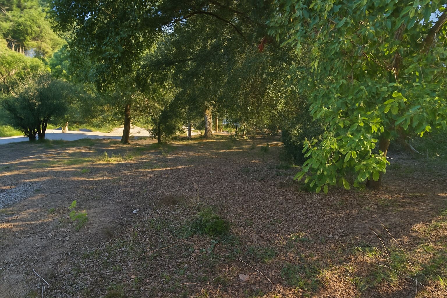 Mark till salu i Lloret de Mar - 69 500 € (Ref: 8781076)