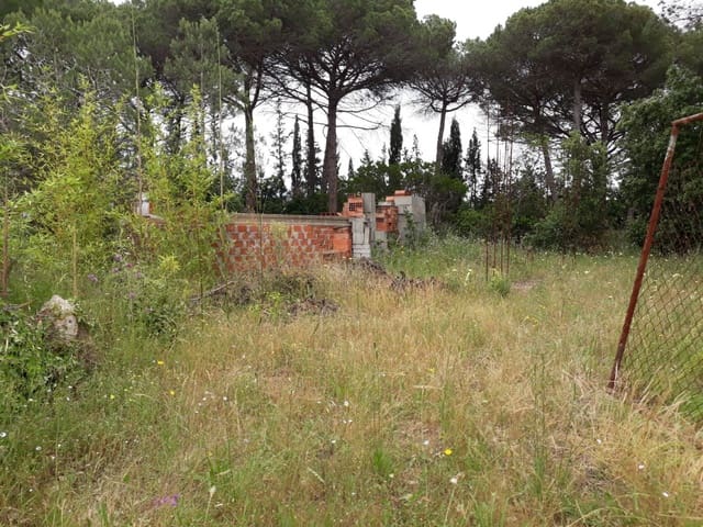 Undeveloped Land for sale in Tordera - € 67,000 (Ref: 8176729)