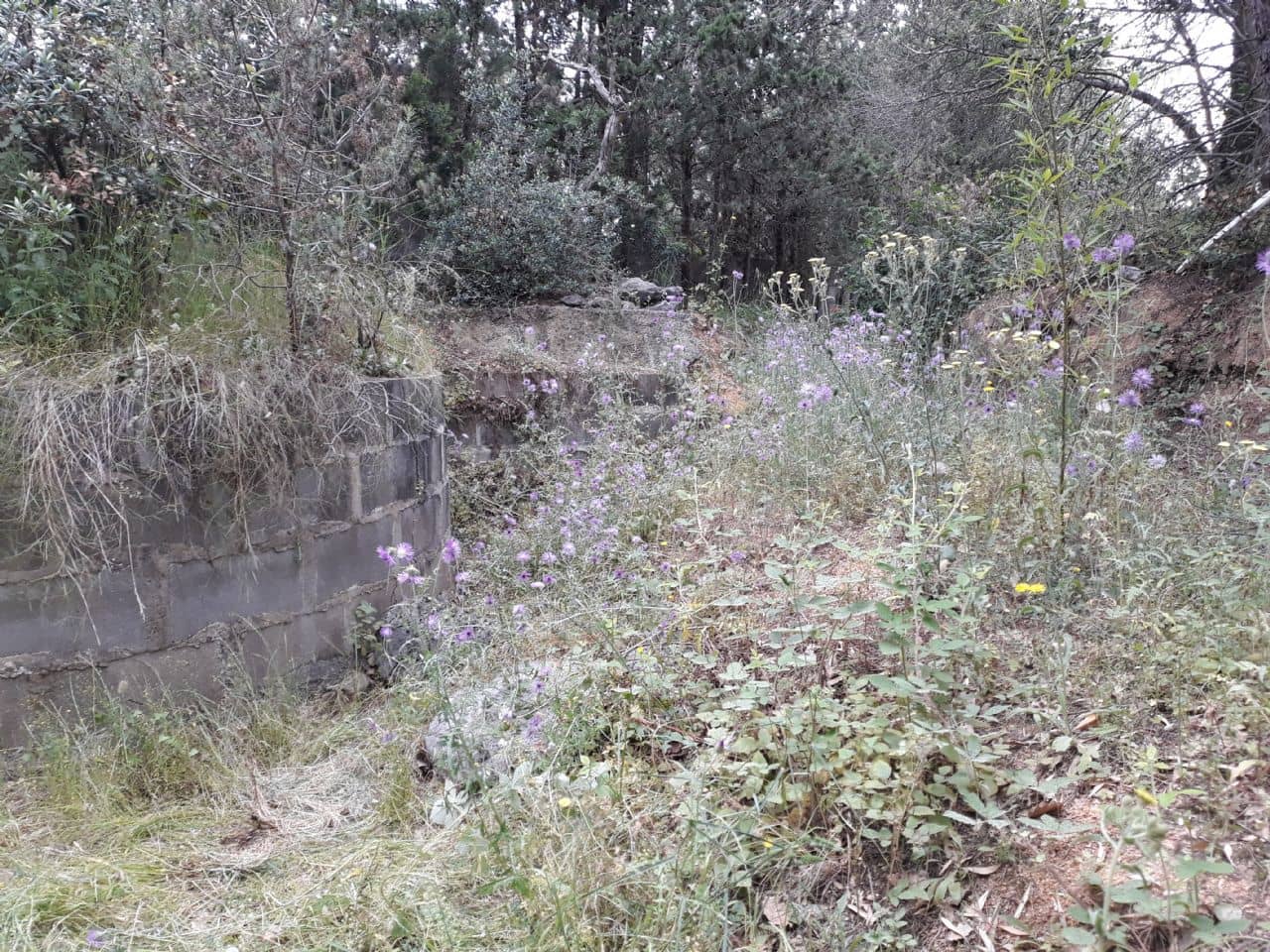 Grunde uden byggetilladelser til salg i Tordera - € 67.000 (Ref: 8176729)