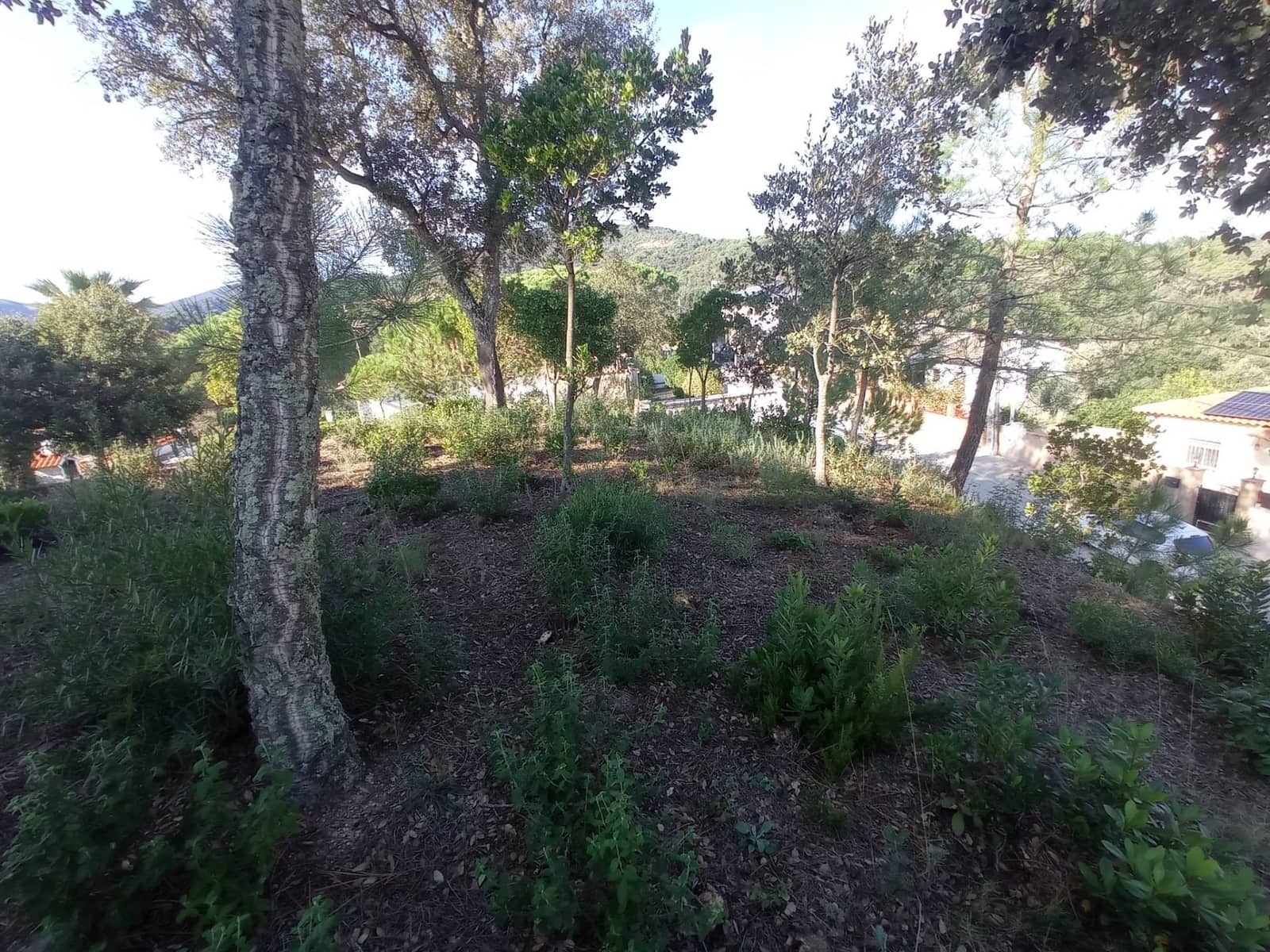 Grunde uden byggetilladelser til salg i Tordera - € 40.000 (Ref: 8601243)