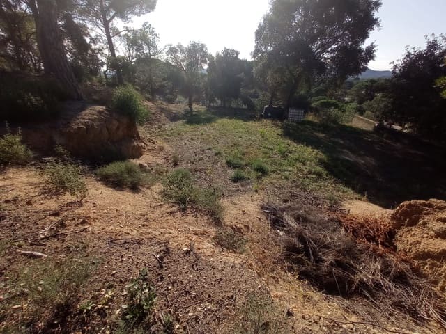Undeveloped Land for sale in Tordera - € 40,000 (Ref: 8601243)