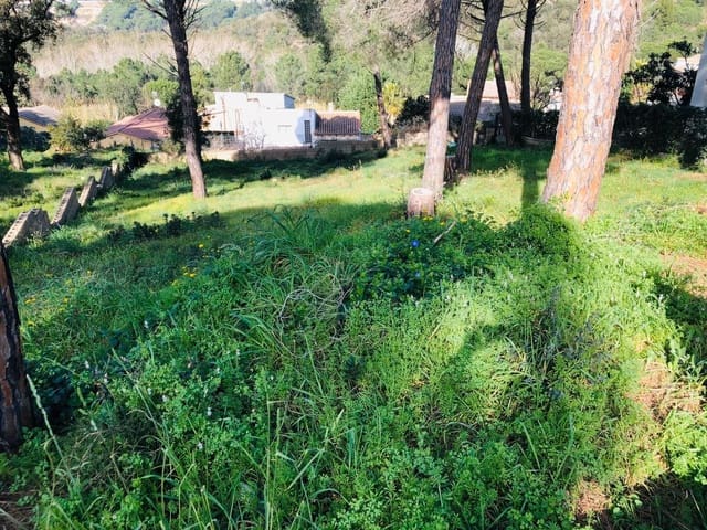 Undeveloped Land for sale in Tordera - € 50,000 (Ref: 8685846)