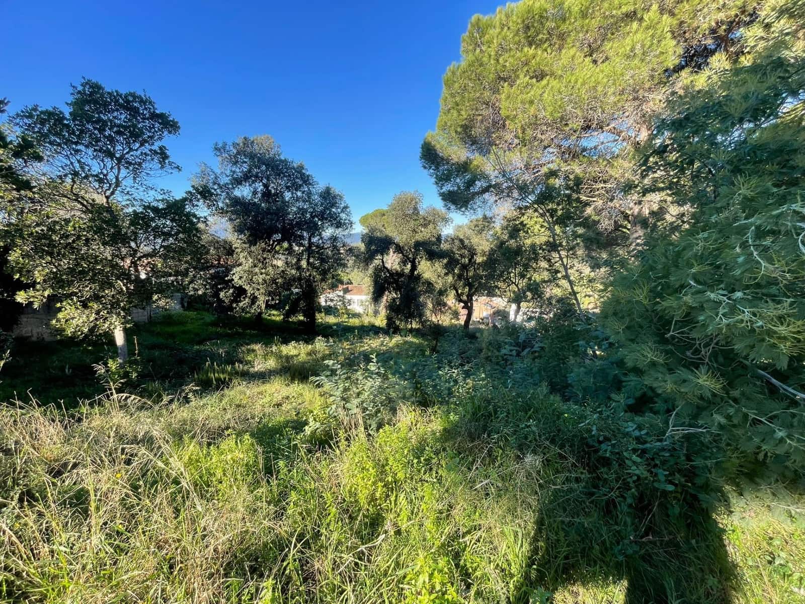 Undeveloped Land for sale in Tordera - € 70,000 (Ref: 9418942)