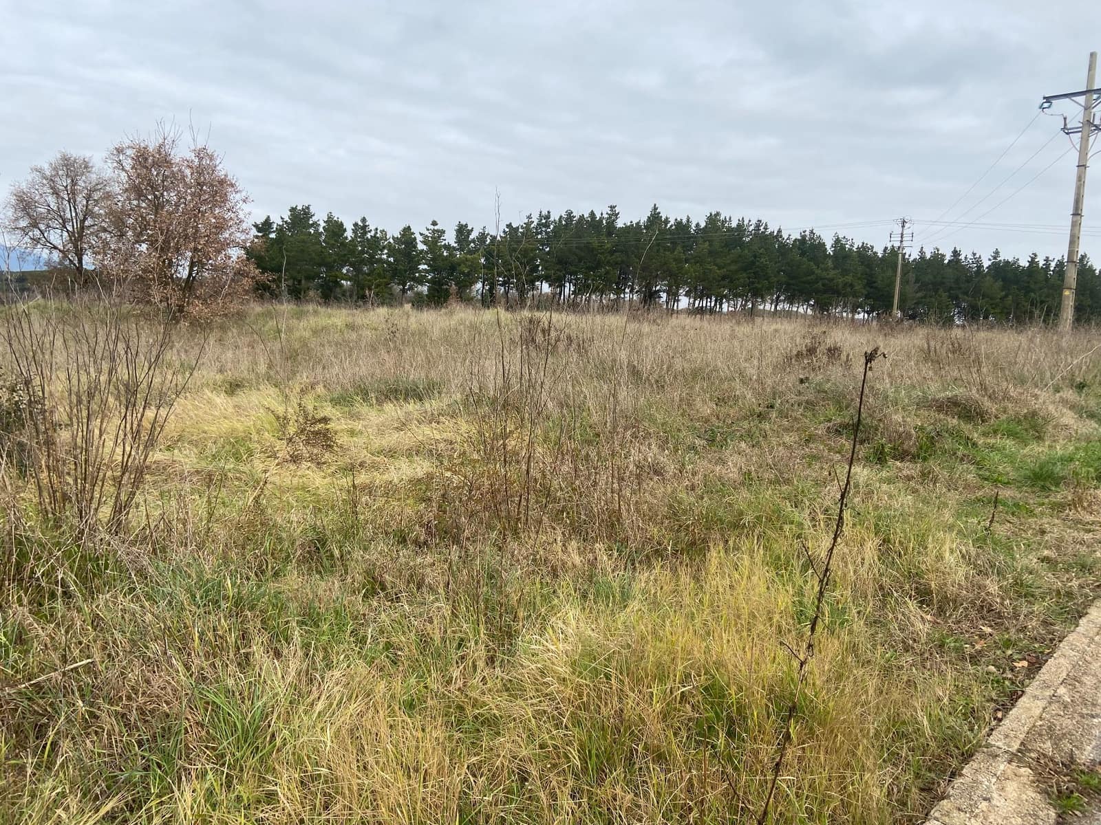 Undeveloped Land for sale in Riudarenes - € 330,000 (Ref: 9550597)