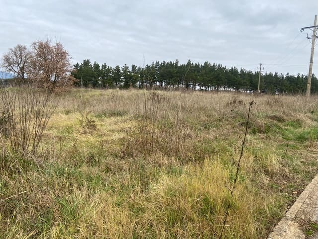 Mark till salu i Riudarenes - 330 000 € (Ref: 9550597)