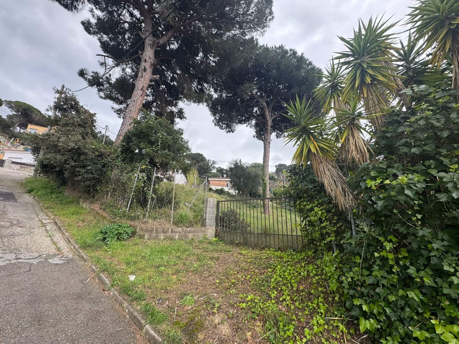 Undeveloped Land for sale in Tordera - € 39,500 (Ref: 9698109)